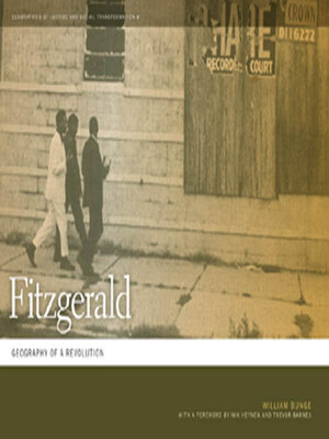 cover image of Fitzgerald